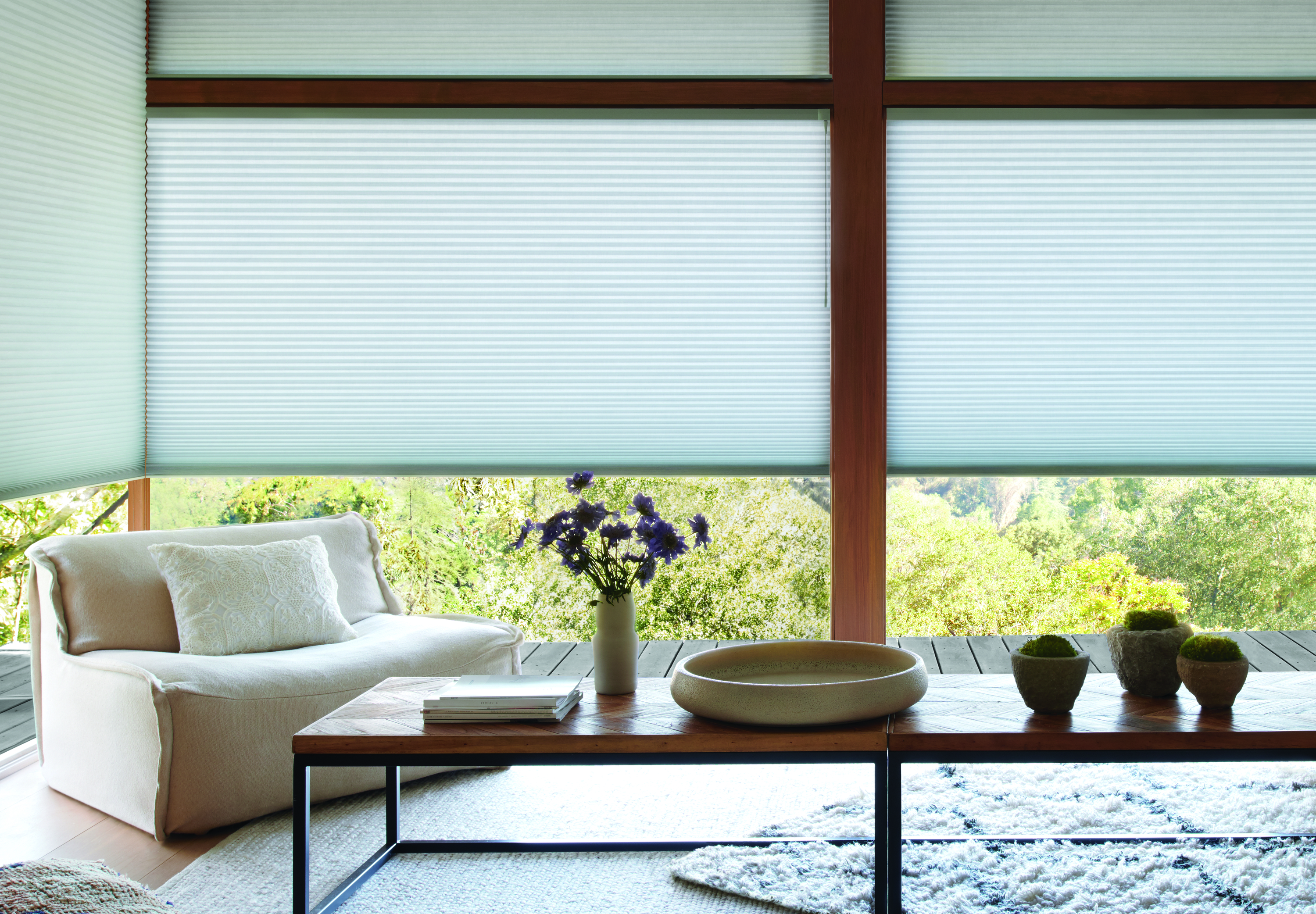 Hunter Douglas Duette® Honeycomb Shades with PowerView® Automation